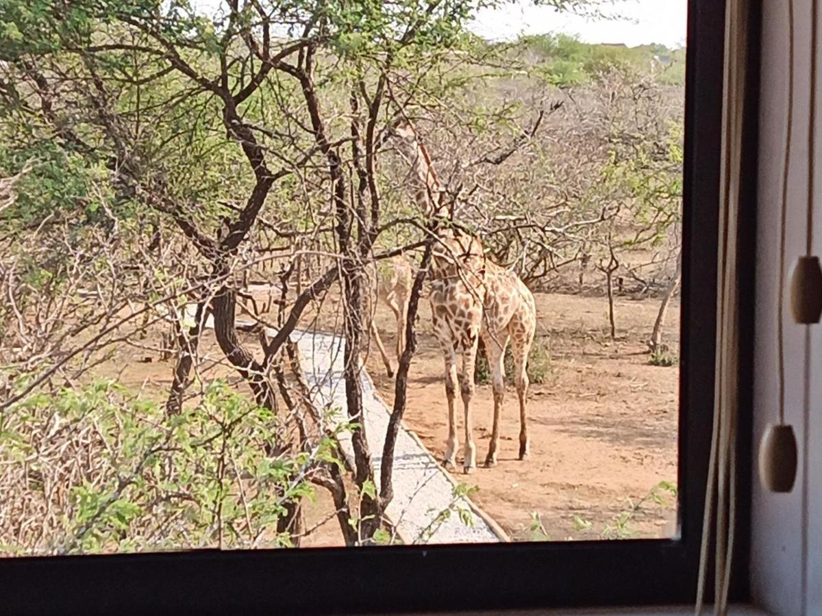Marloth Kruger View Apartment Marloth Park Bagian luar foto