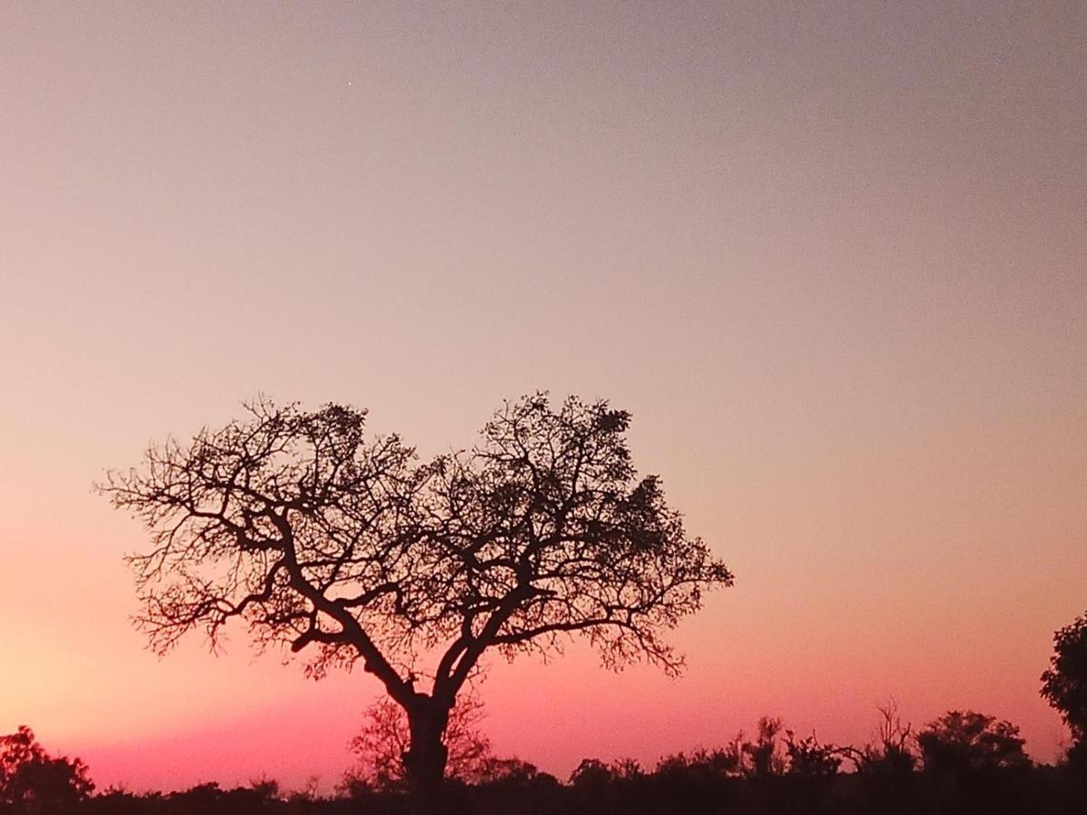 Marloth Kruger View Apartment Marloth Park Bagian luar foto