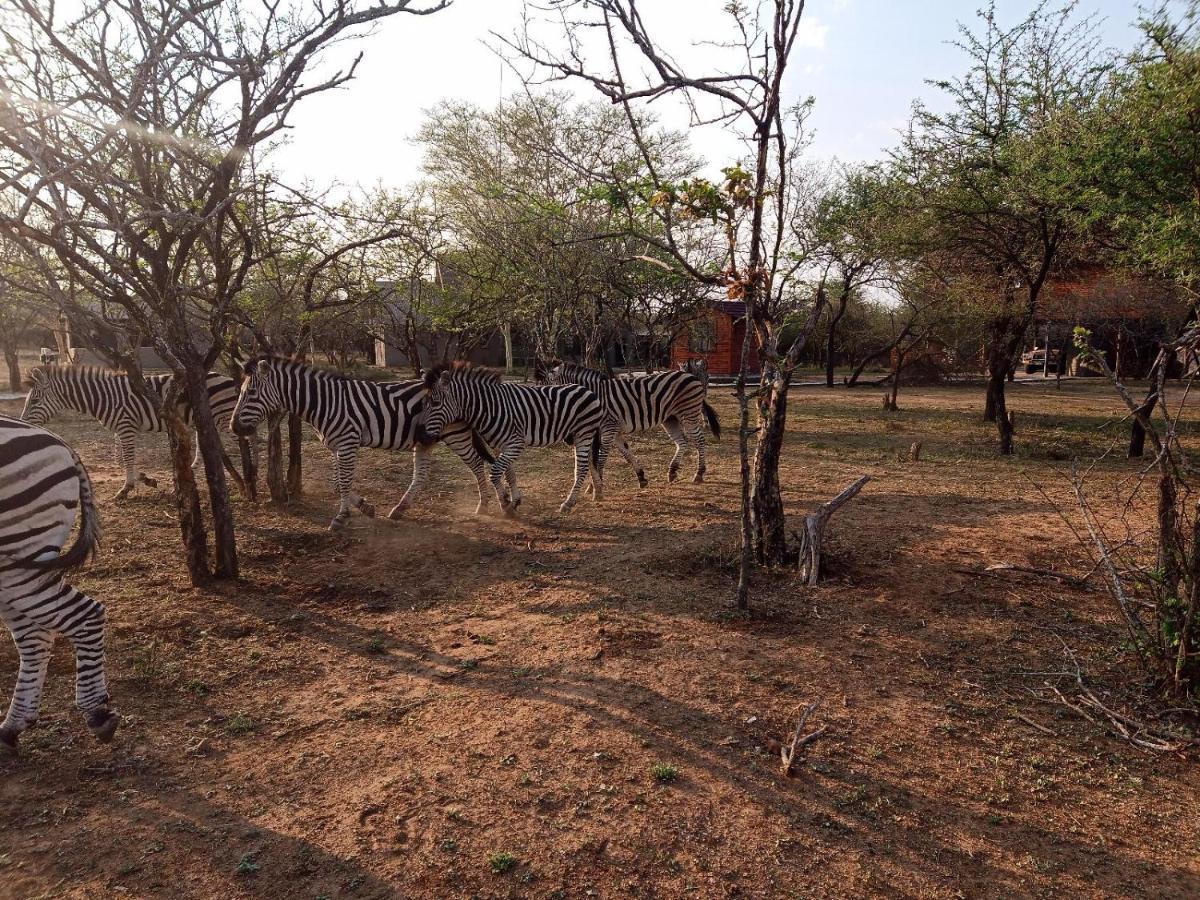 Marloth Kruger View Apartment Marloth Park Bagian luar foto