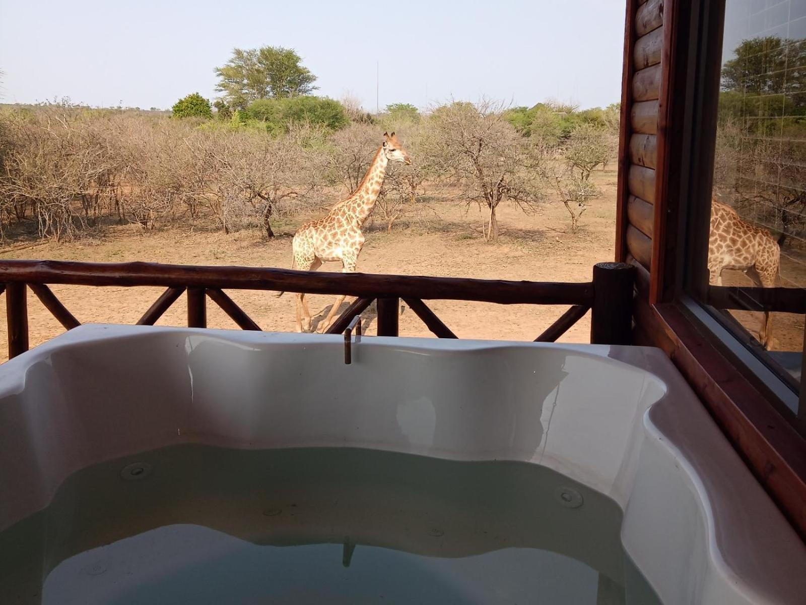 Marloth Kruger View Apartment Marloth Park Bagian luar foto