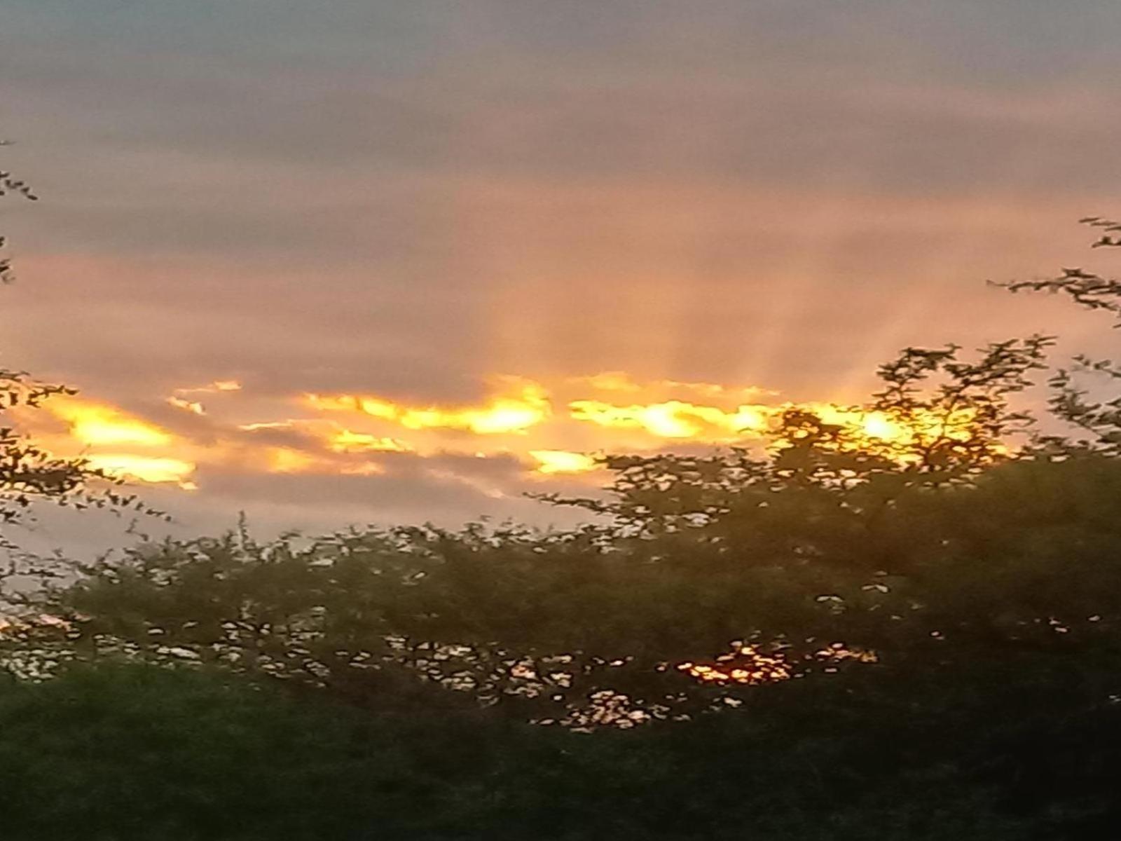 Marloth Kruger View Apartment Marloth Park Ruang foto