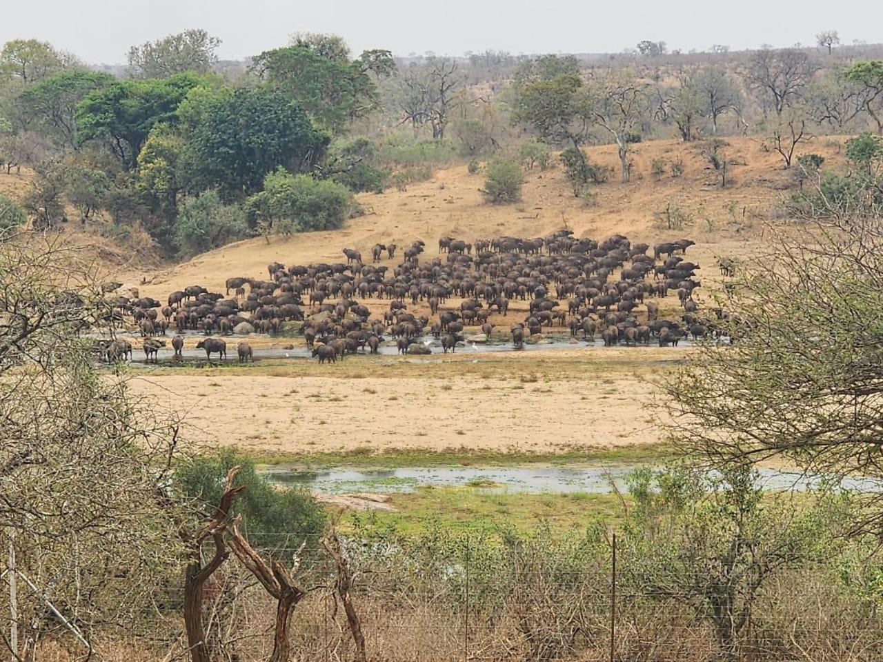 Marloth Kruger View Apartment Marloth Park Bagian luar foto
